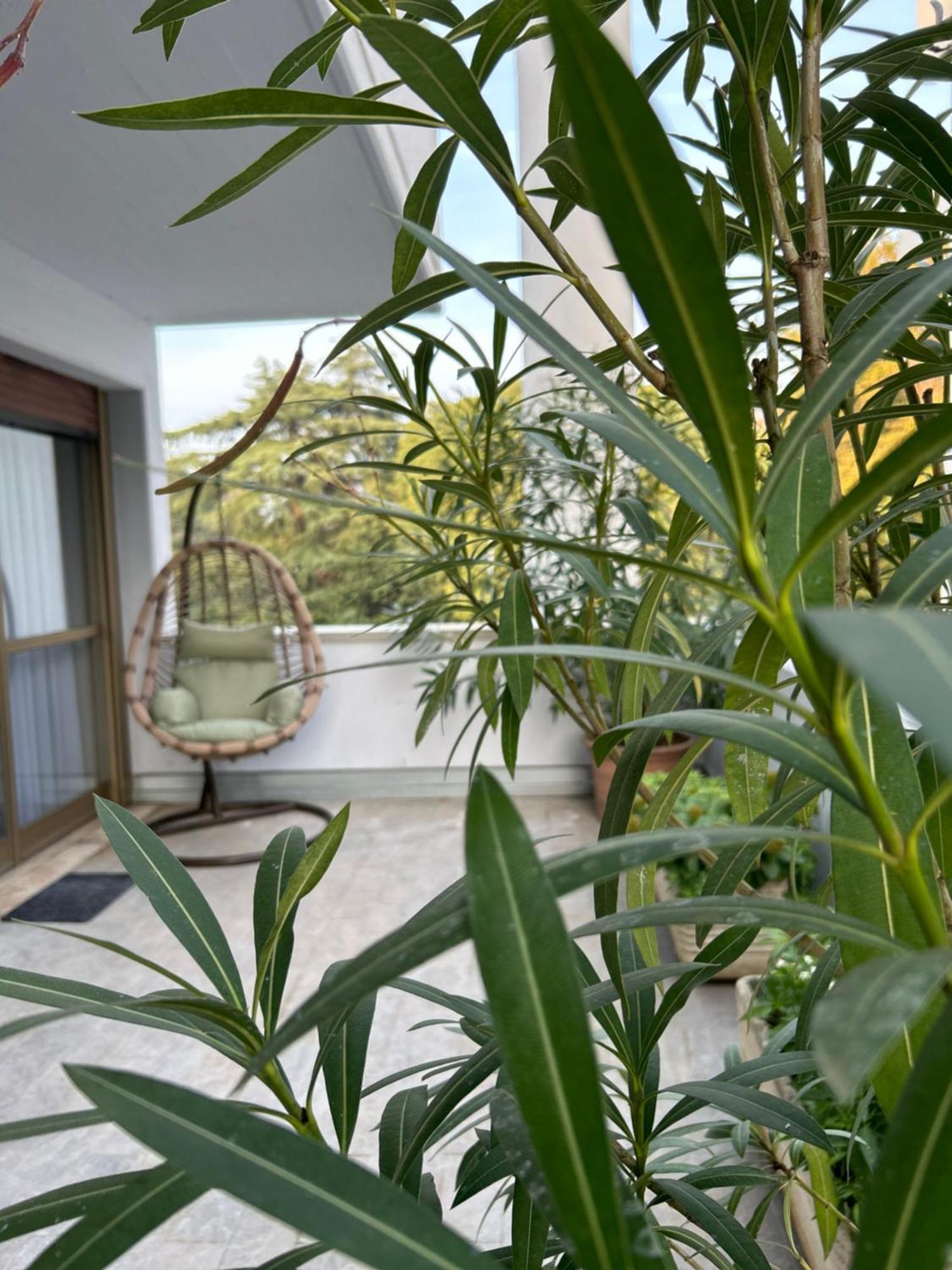 Room& Breakfast Martin'S Luxury Bologna Ngoại thất bức ảnh